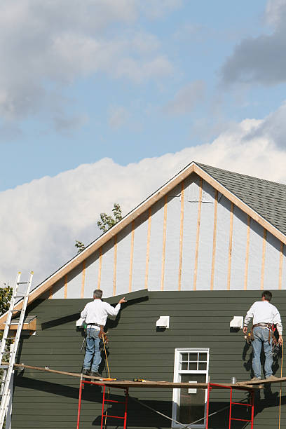 Best Demolition Debris Removal  in Amite City, LA
