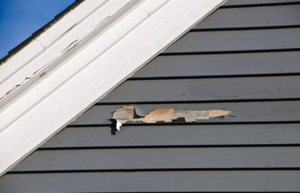 Best Property Management Cleanouts  in Amite City, LA