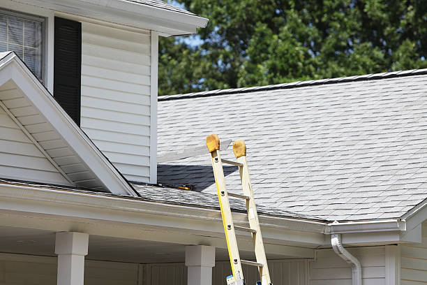 Best Carpet Removal and Disposal  in Amite City, LA